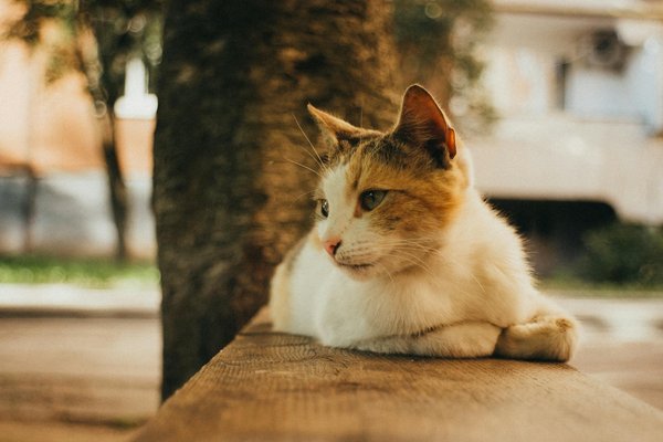 What are the benefits of open shelving in a UK kitchen?